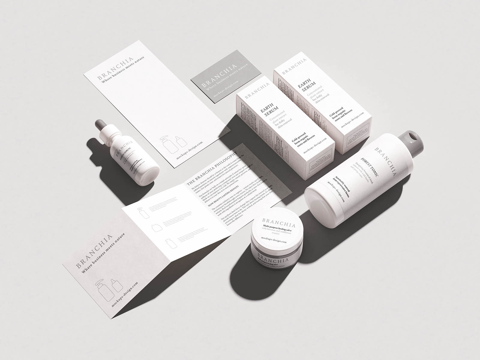 Free Cosmetic Brand Identity Mockup PSD Template