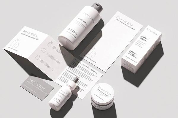 Free Cosmetic Brand Identity Mockup PSD Template