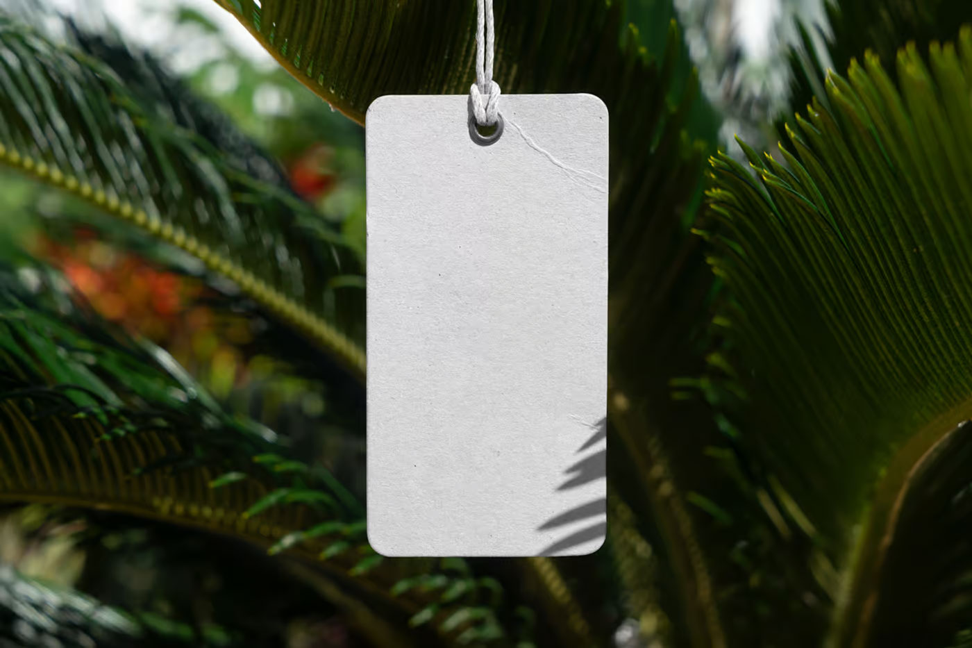 Free Front View Hanging Label Mockup PSD Template