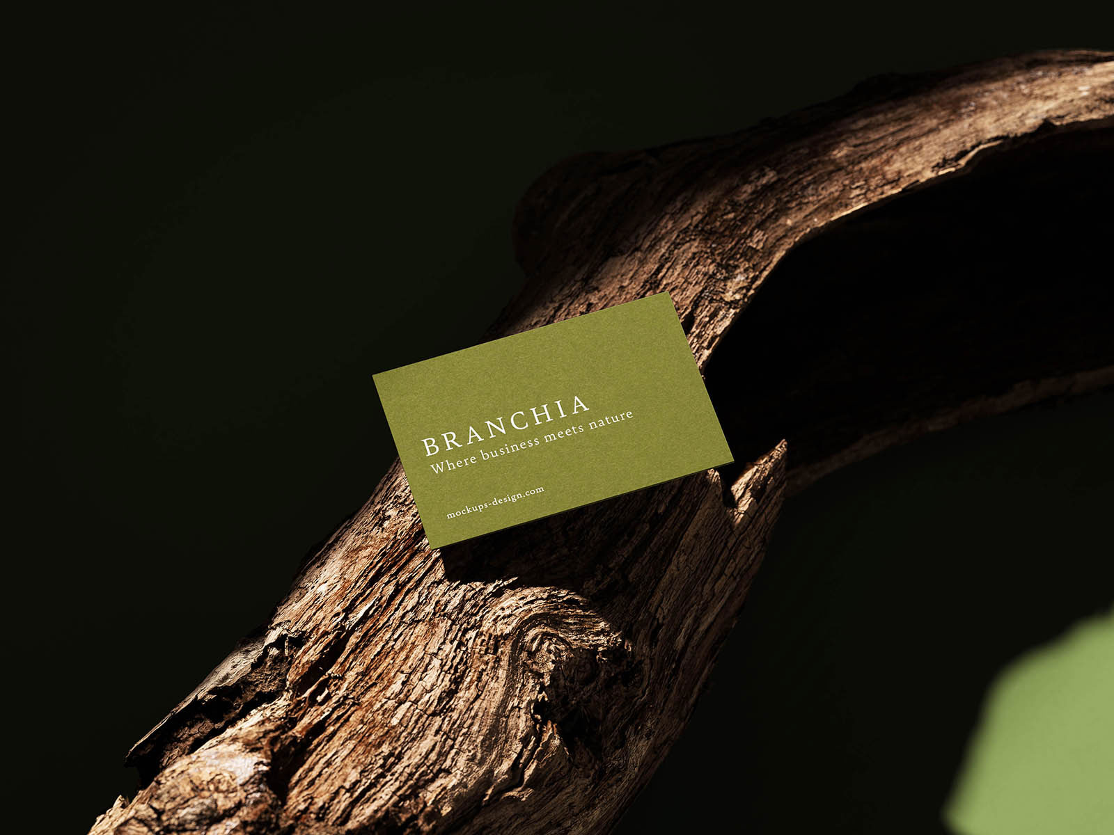 Free Natural Business Card Mockup PSD Template