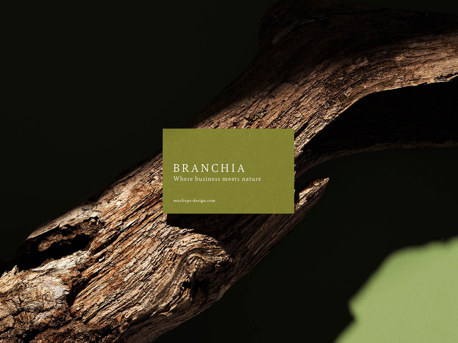 Free Natural Business Card Mockup PSD Template