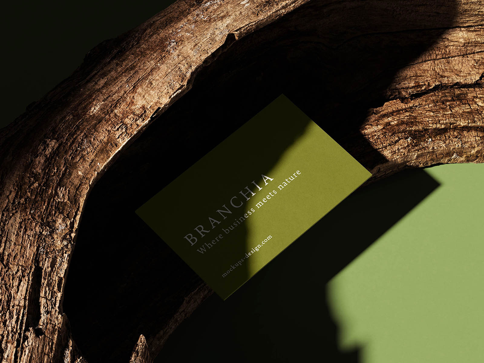 Free Natural Business Card Mockup PSD Template