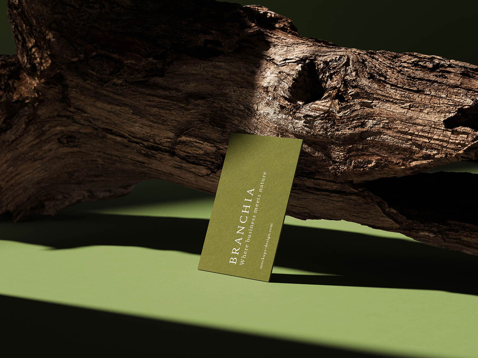 Free Natural Business Card Mockup PSD Template