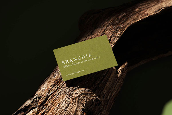 Free Natural Business Card Mockup PSD Template