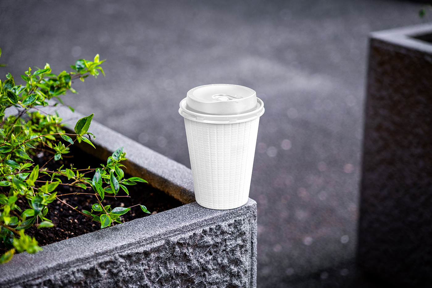 Free Paper Cup on Flower Pot Mockup PSD Template