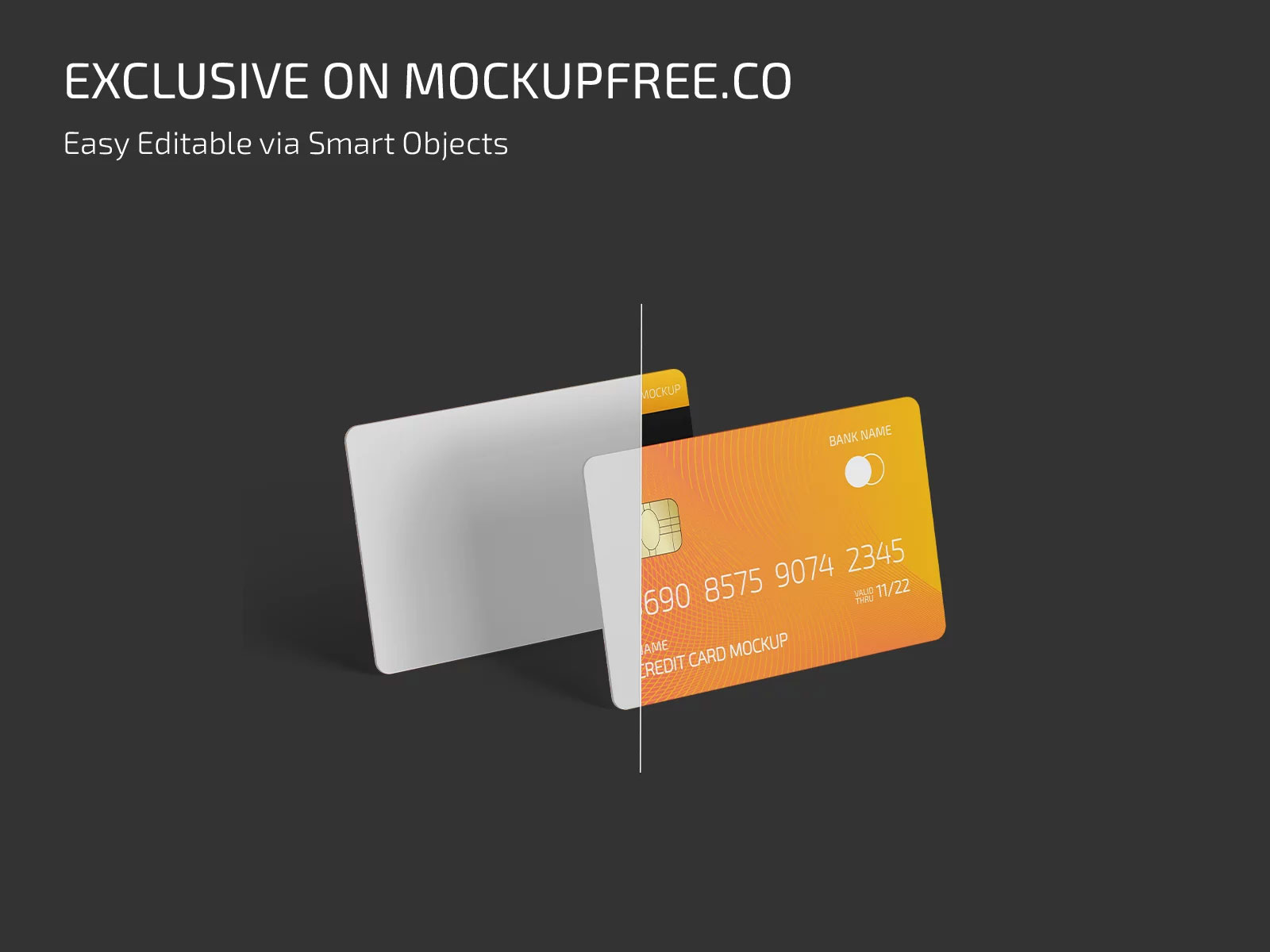 Free Plastic Credit Cards Mockups PSD Template