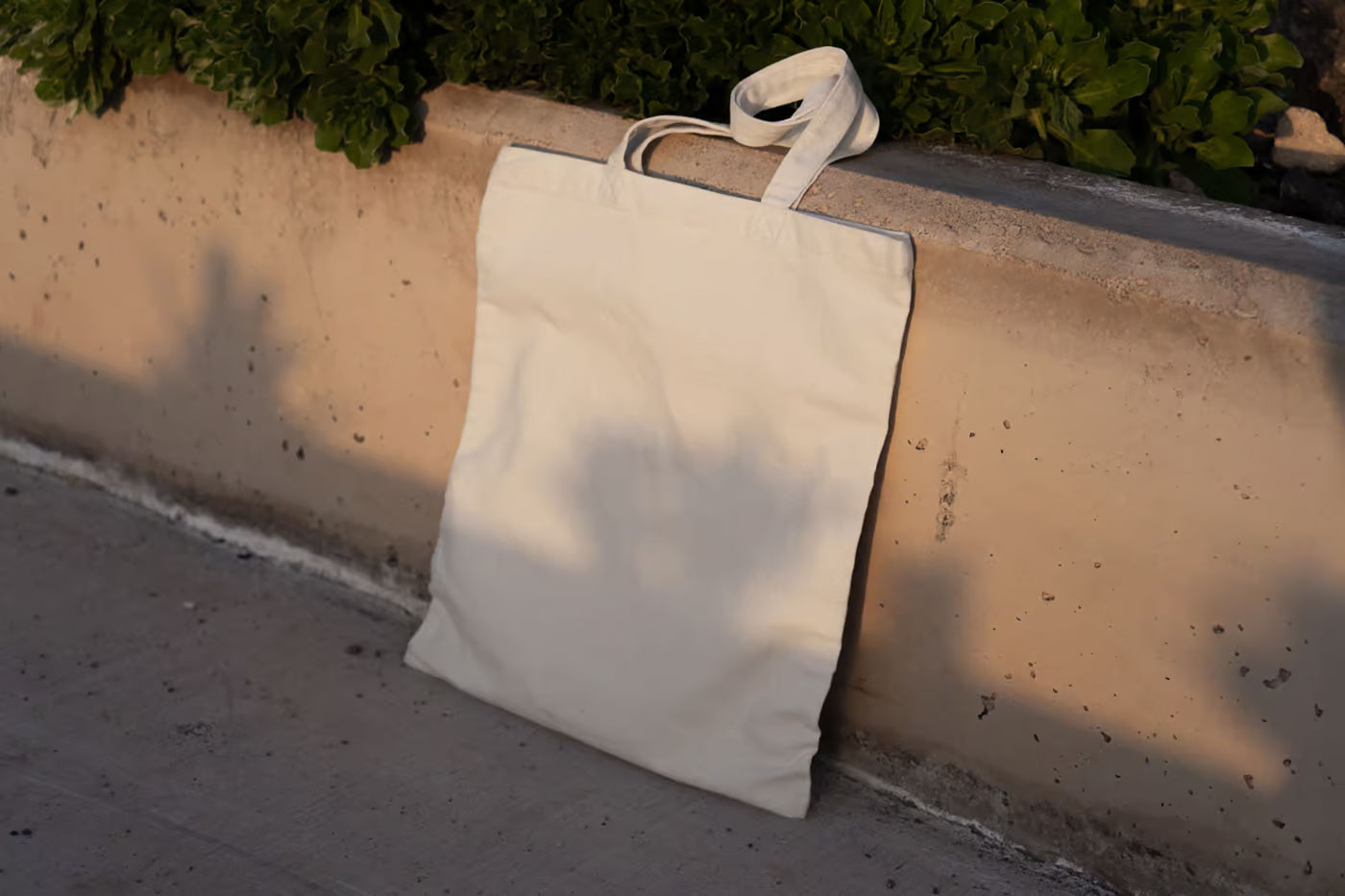 Free Tote Bag Based on Wall Mockup PSD Template