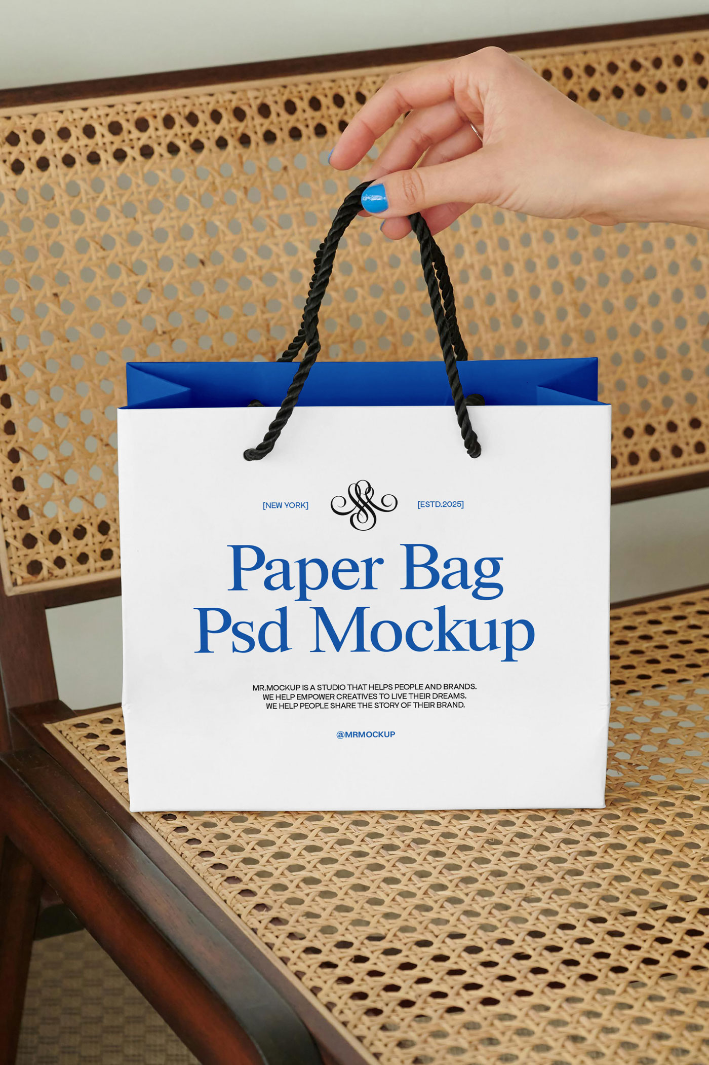 Free Apparel Paper Bag Mockup PSD Template
