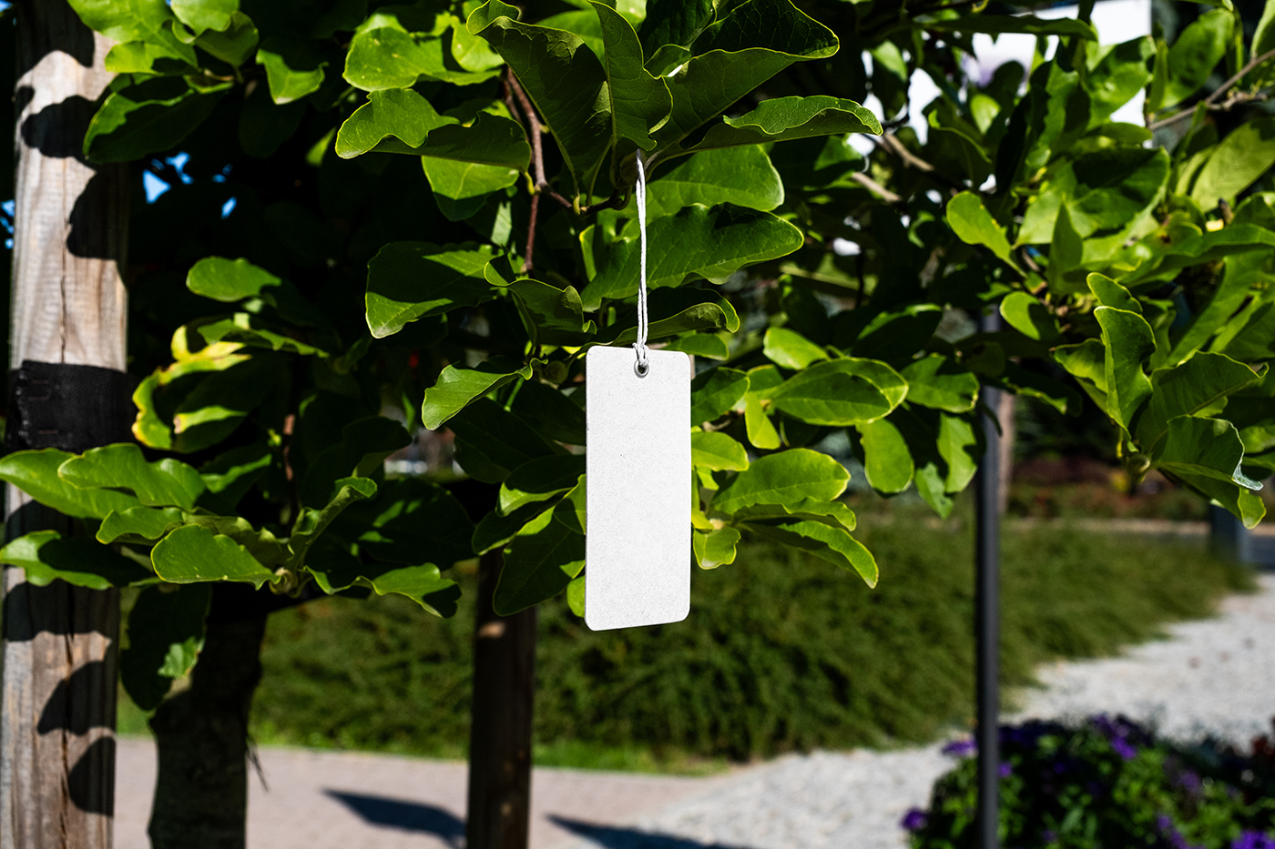 Free Label Hanging on Plant Mockup PSD Template