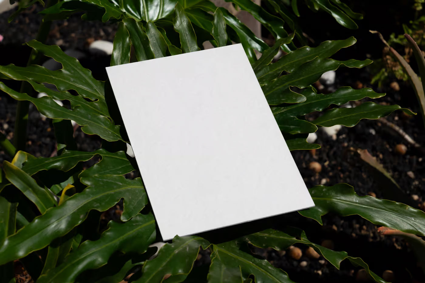Free Laying Card in Flowers Mockup PSD Template