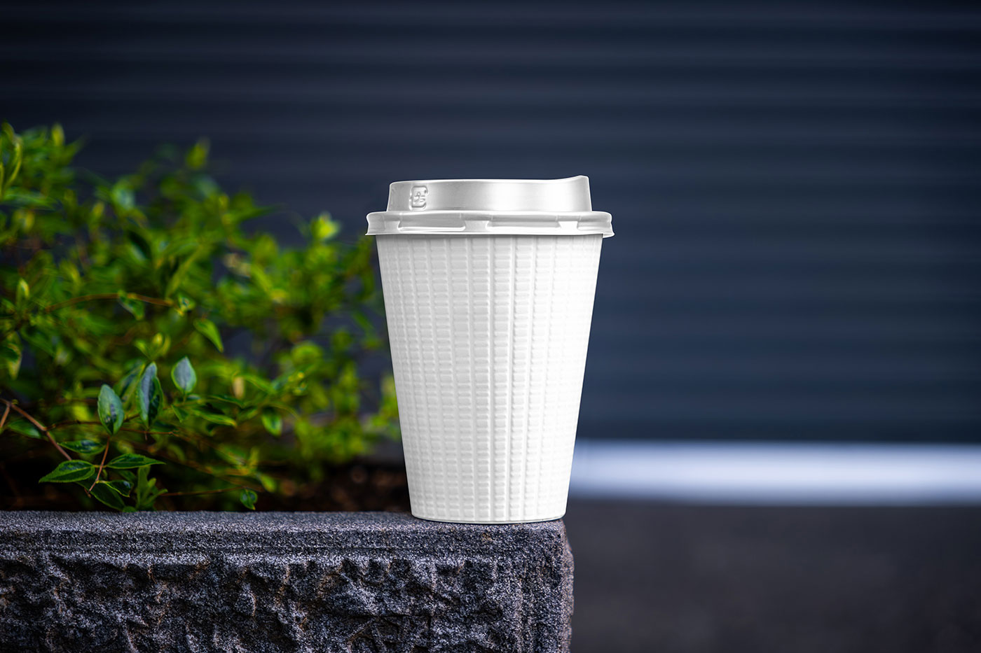 Free Paper Cup on Flowerpot Mockup PSD Template