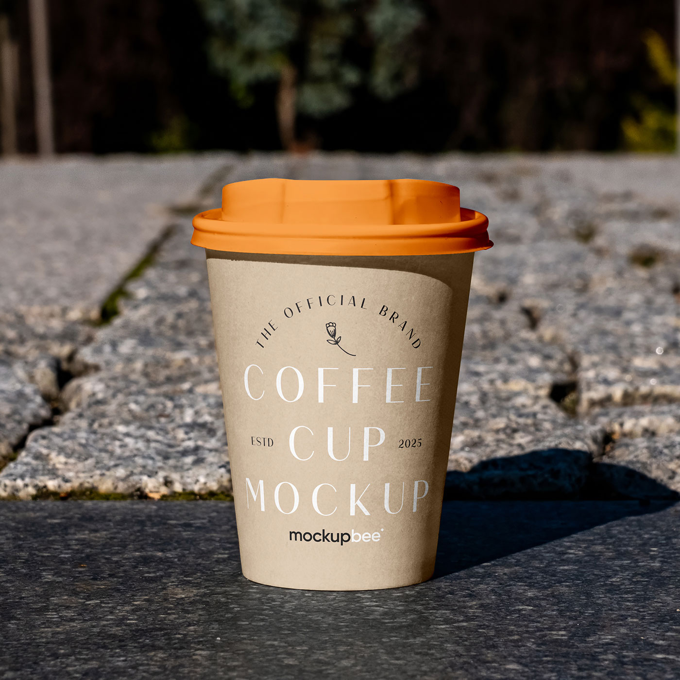 Free Paper Cup on Sidewalk Mockup PSD Template