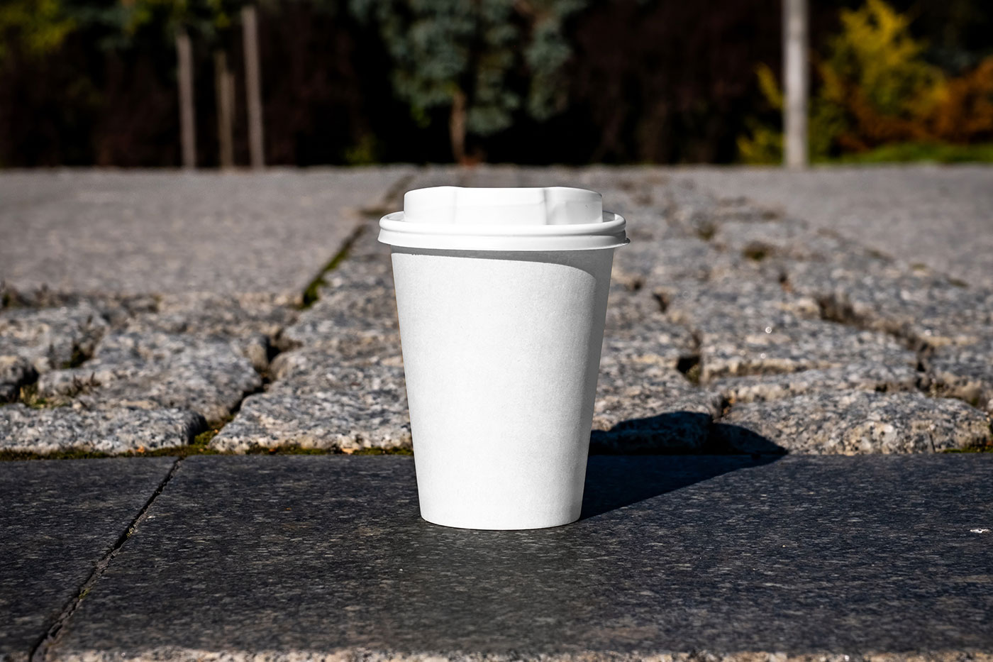 Free Paper Cup on Sidewalk Mockup PSD Template