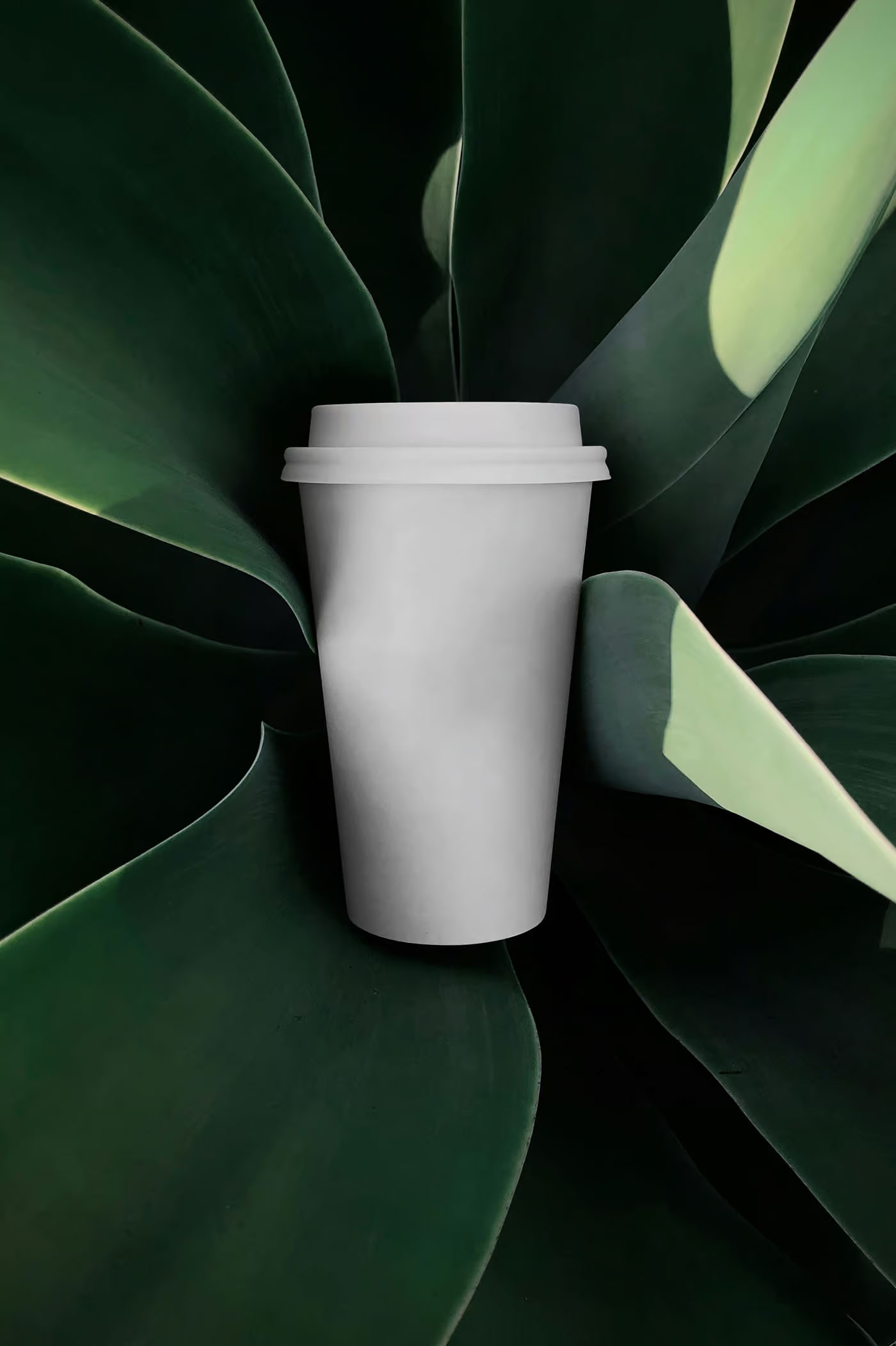 Free Plant Coffee Cup Mockup PSD Template