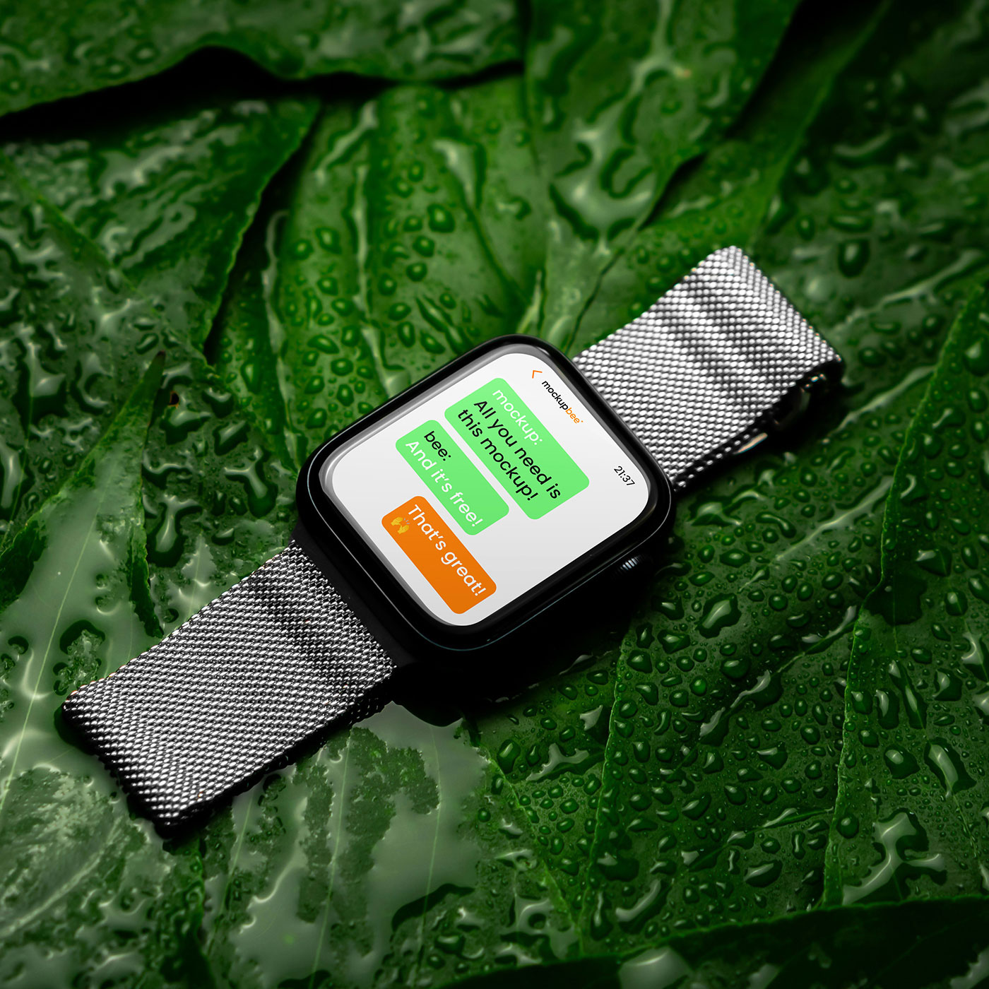 Free Smart Watch on Leaf Mockup PSD Template