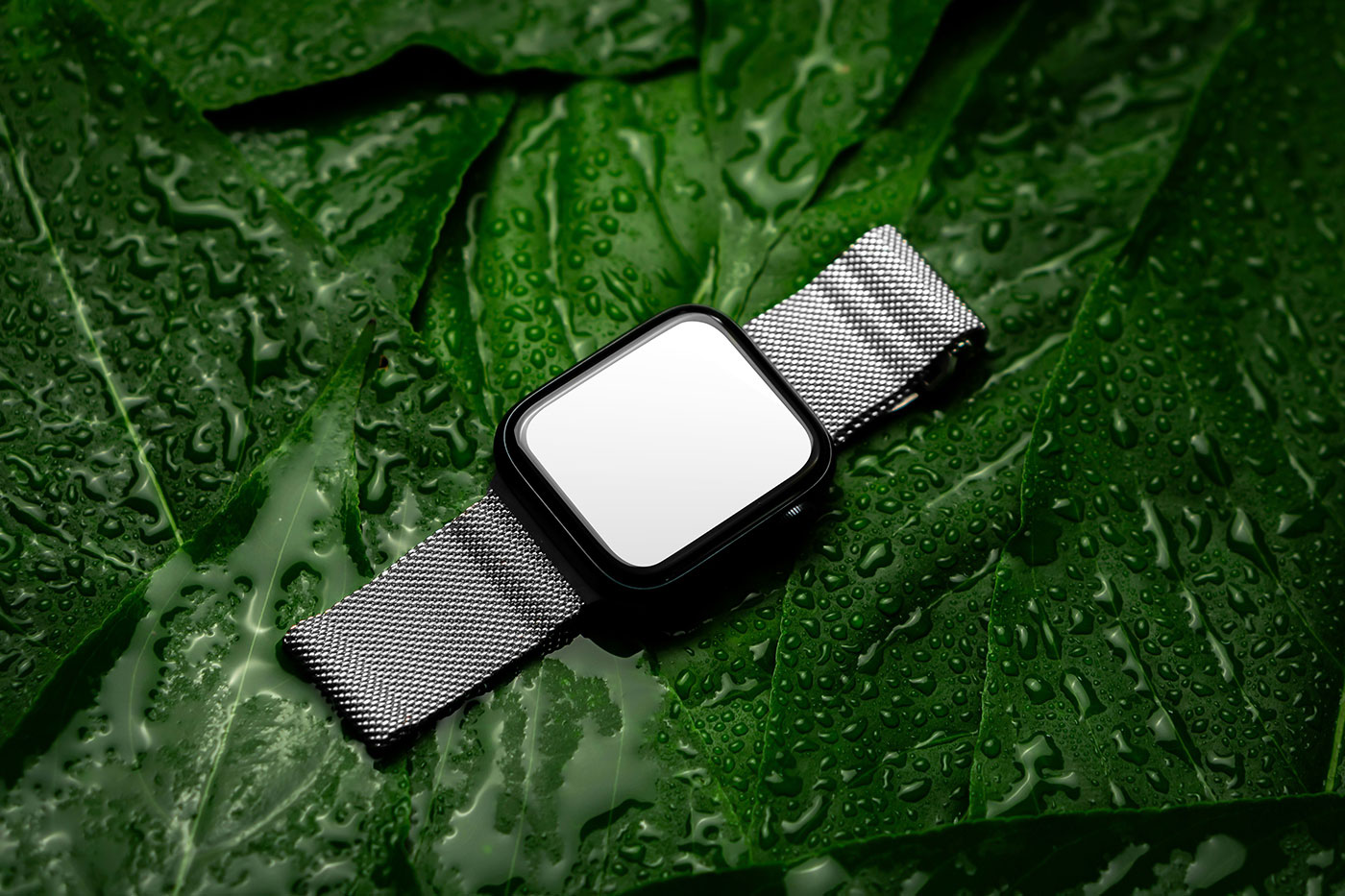 Free Smart Watch on Leaf Mockup PSD Template