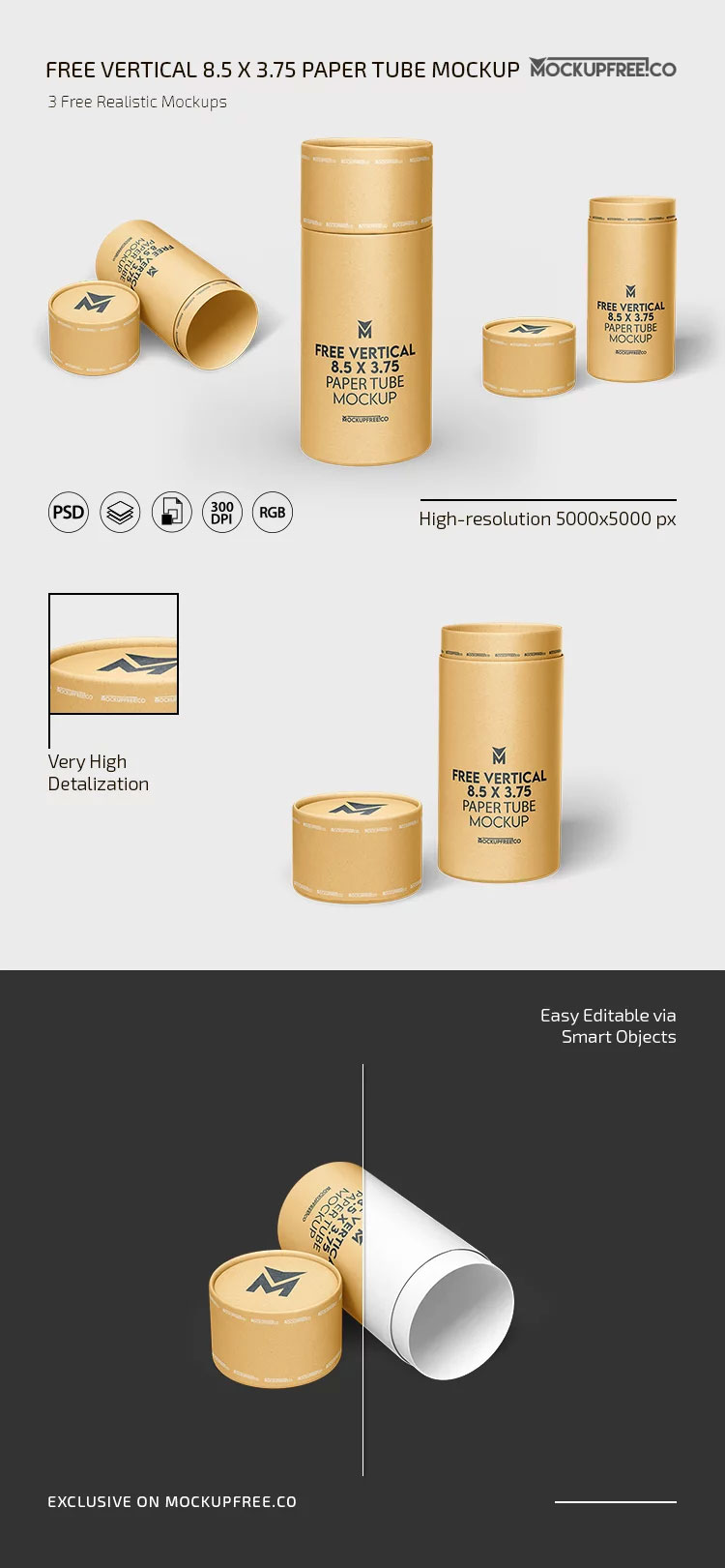 Free Vertical Paper Tube Mockup PSD Template