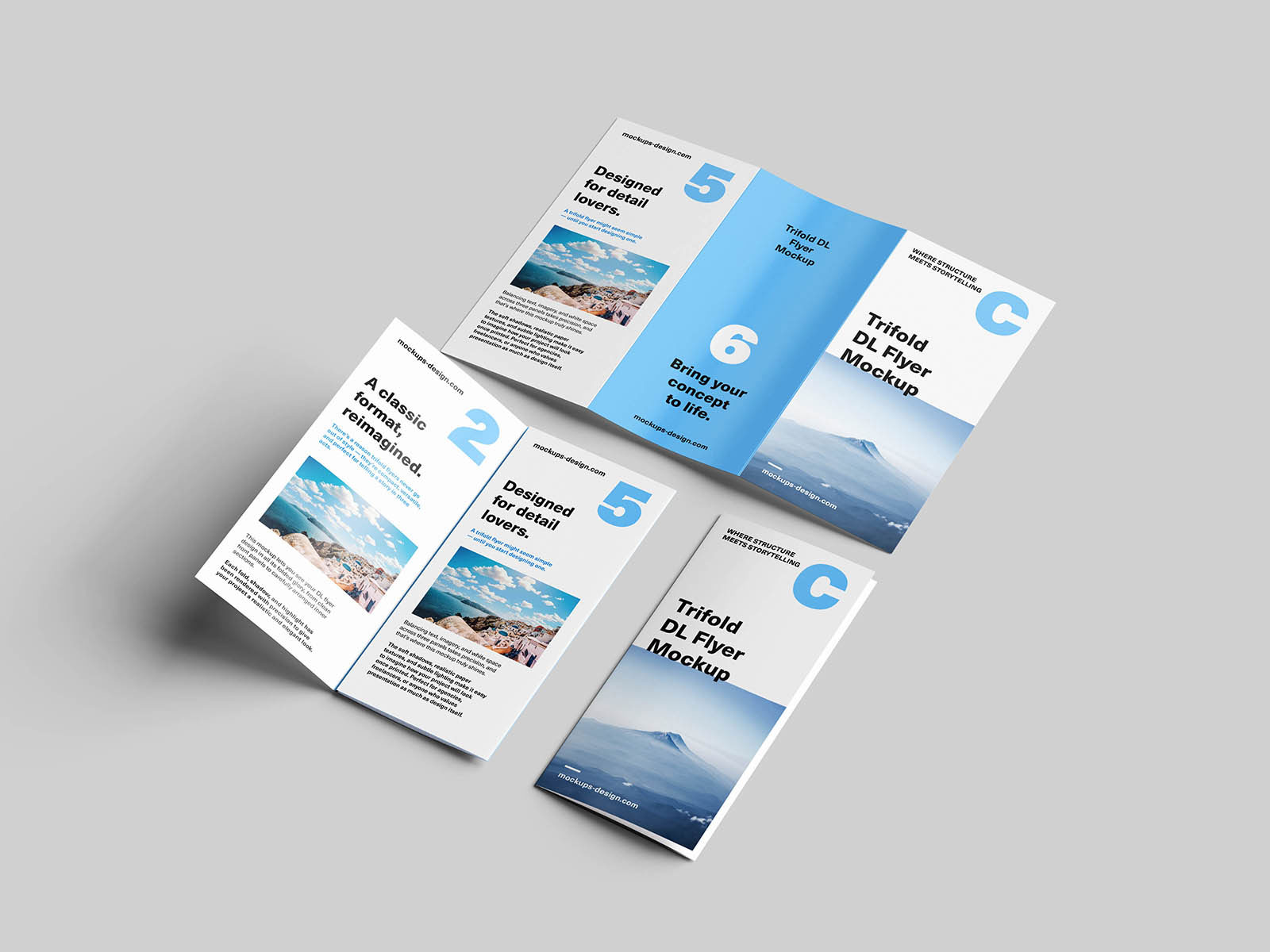 Free Trifold DL Flyer Mockup PSD Template