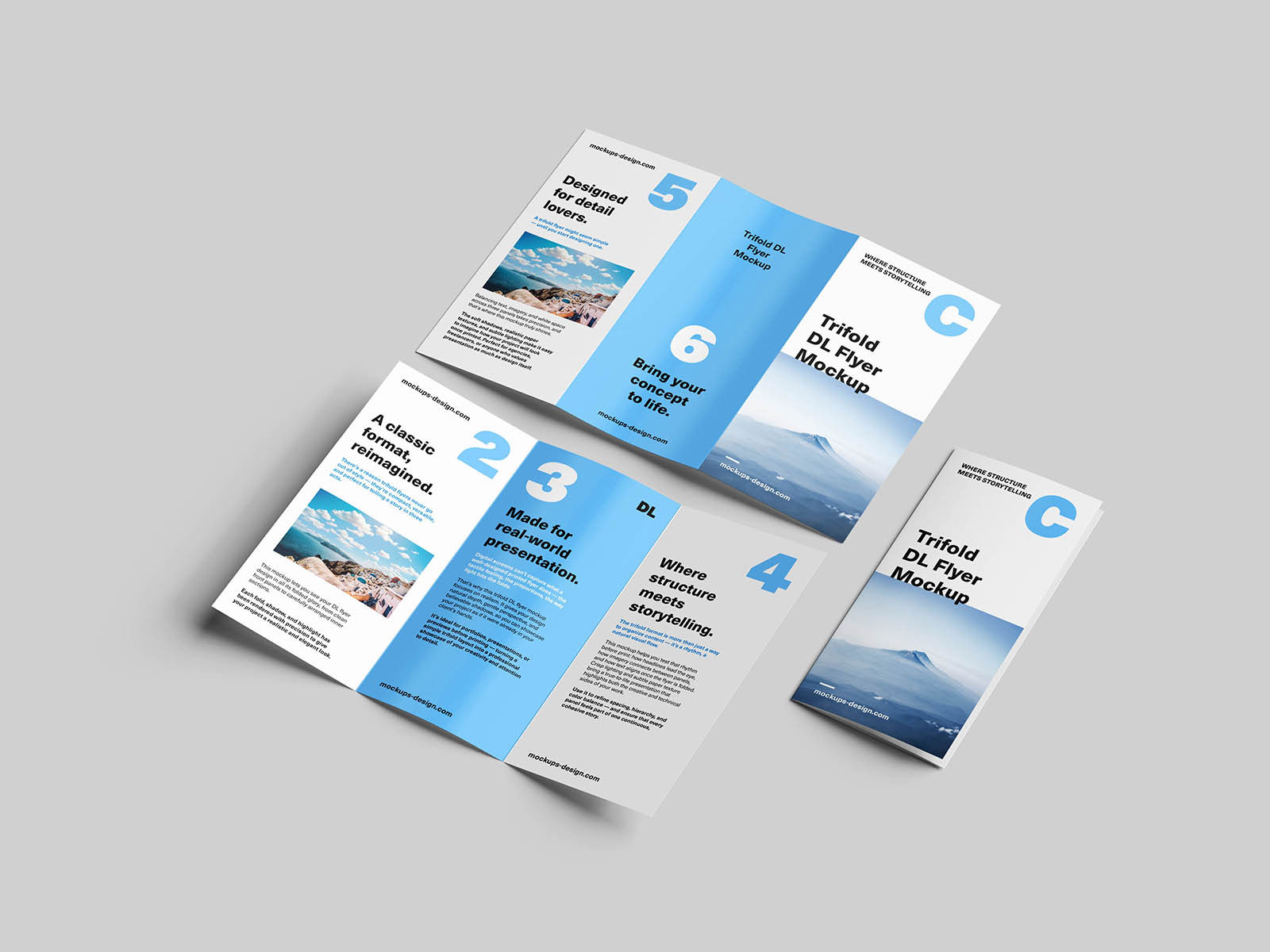 Free Trifold DL Flyer Mockup PSD Template