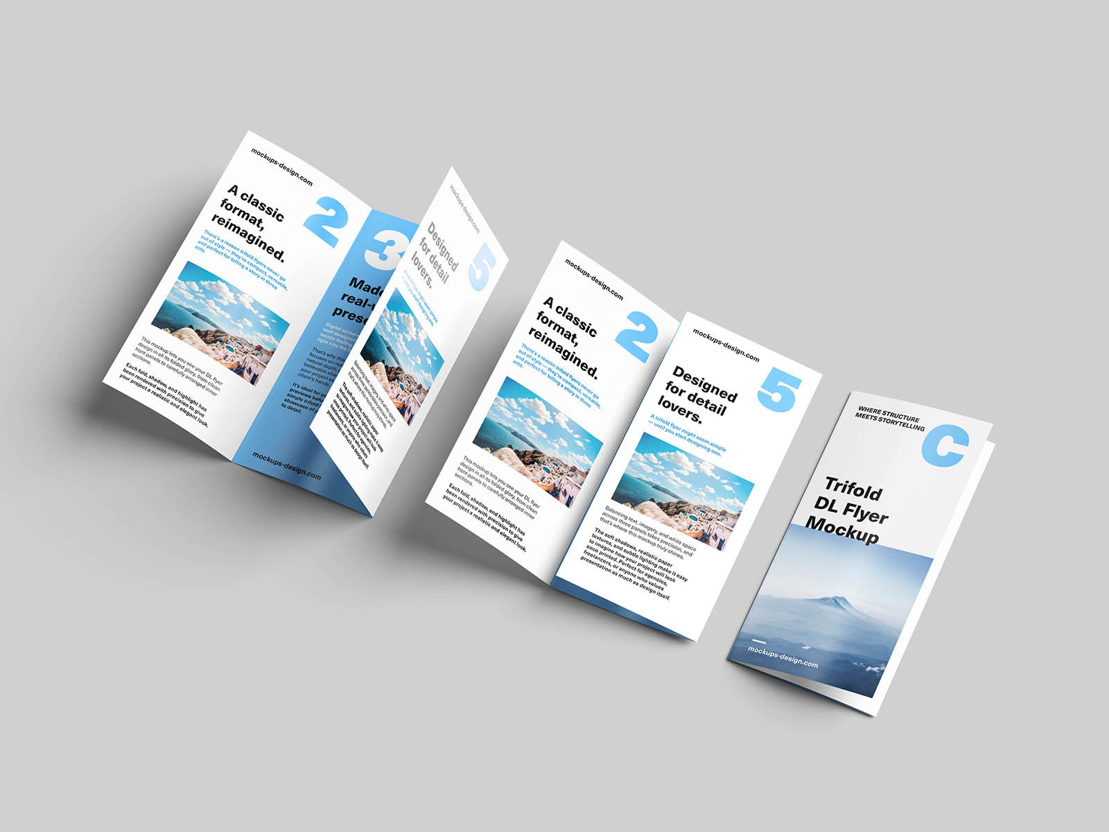 Free Trifold DL Flyer Mockup PSD Template