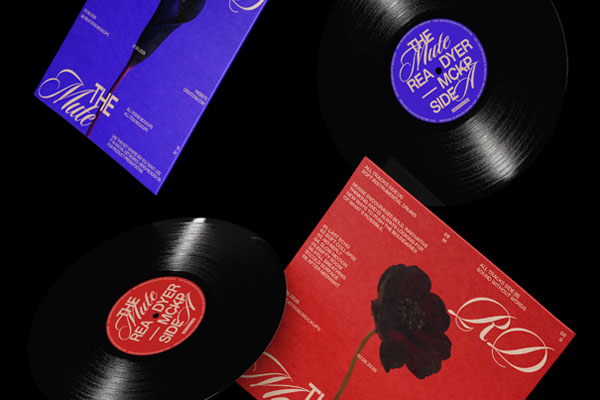 Free Vinyl Record and Cover Mockups PSD Template