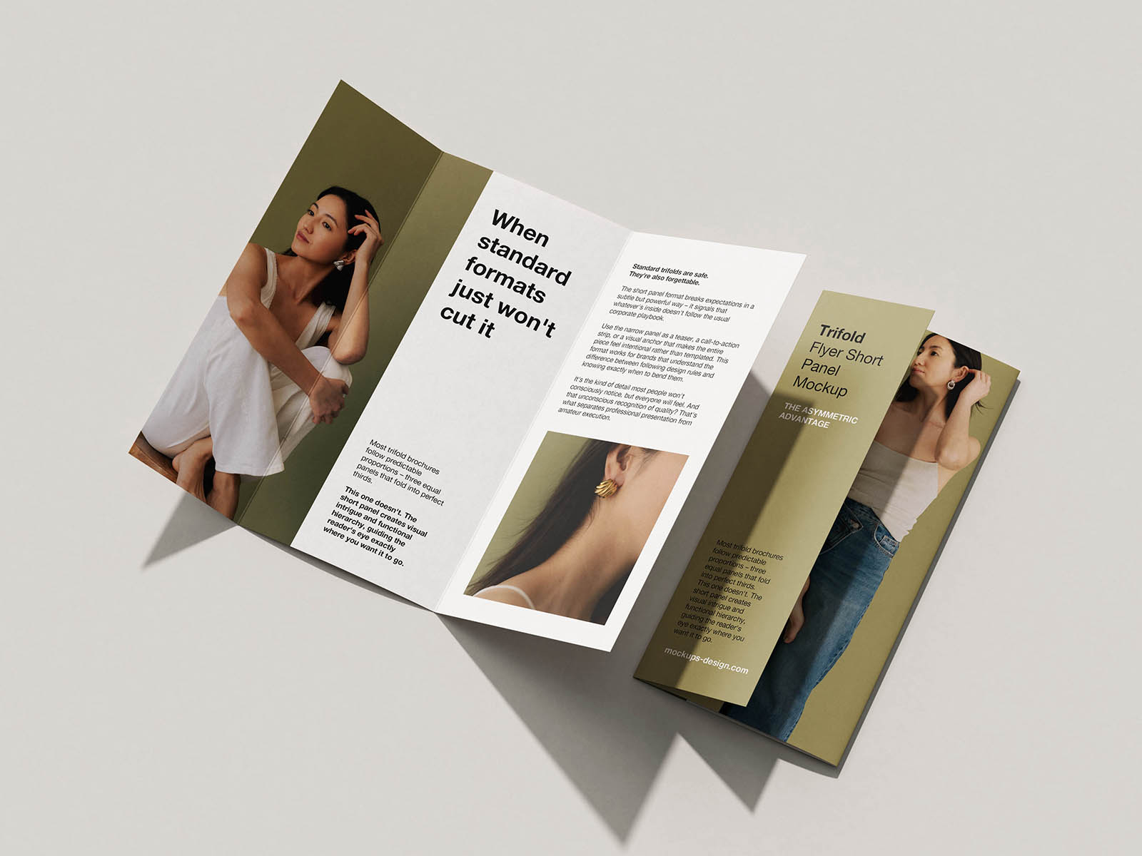 Free Asymmetric DL Trifold Flyer Mockup PSD Template