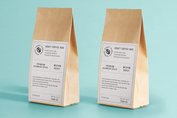 Free Dual Standing Kraft Paper Bag Mockup PSD Template