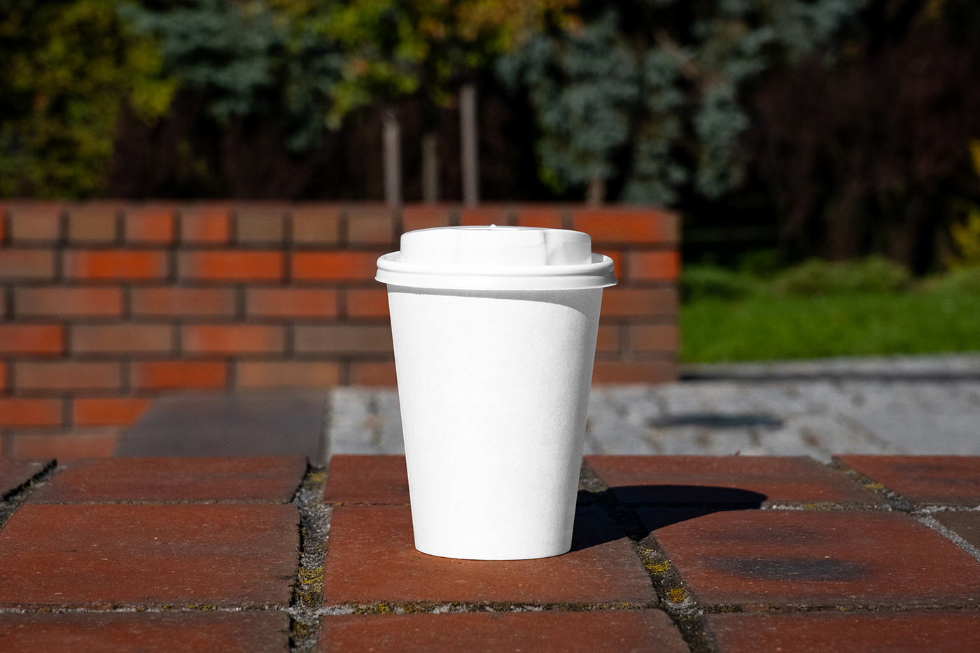 Free Paper Cup on Low Wall Mockup PSD Template
